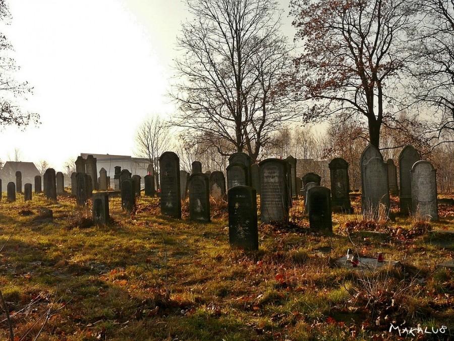 Pyskowice-cmentarz żydowski