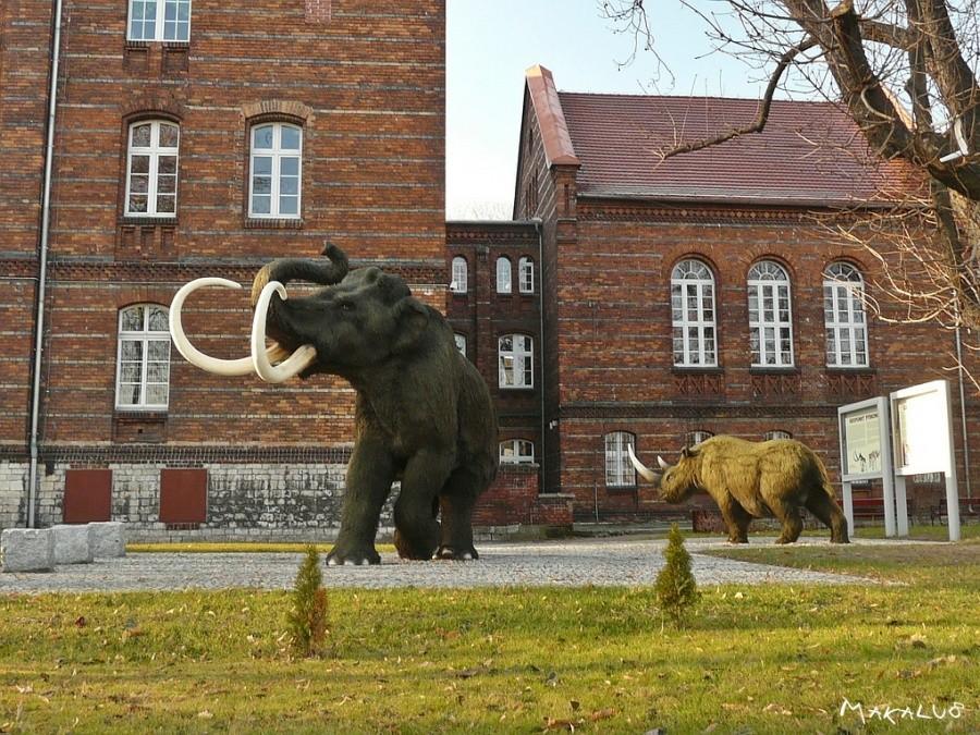 Pyskowice-geopunkt