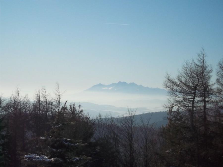 Tatry z Jaworzyny Kr.