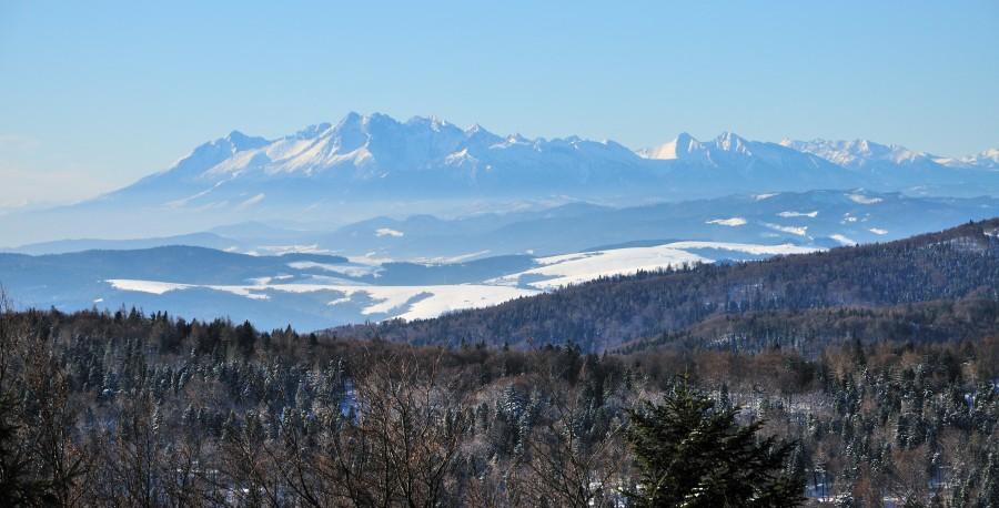 Panorama Tatr z Jaworzyny Krynickiej