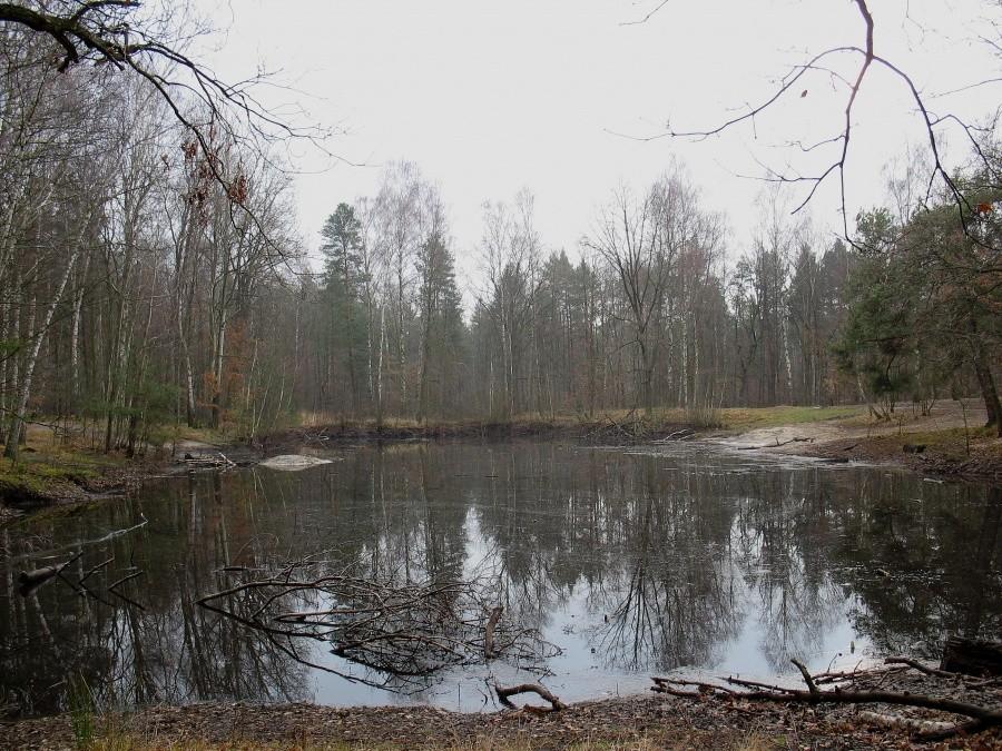 Czarny Staw