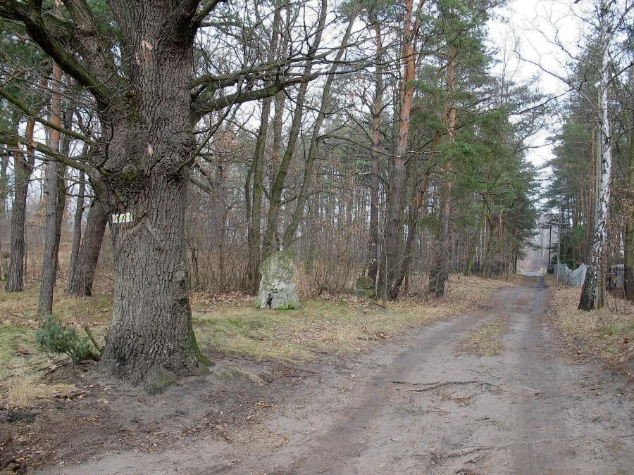 Aleksandrów - ul. Ks. Szulczyka