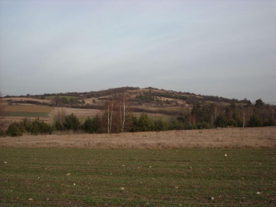 Widok na Górę Skurzawa