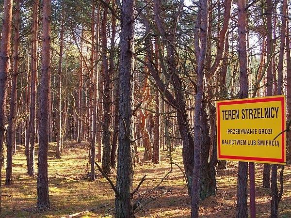 Koło poligonu w Grochalach