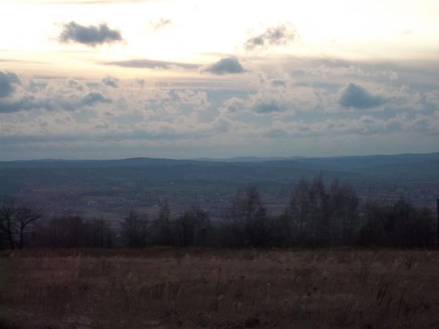 pogórze strzyżowskie