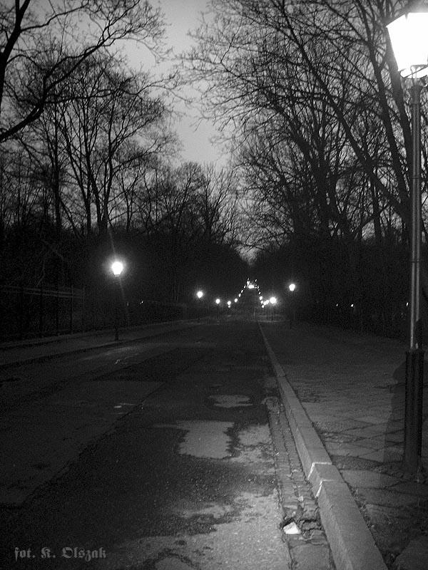 Agrykola nocą