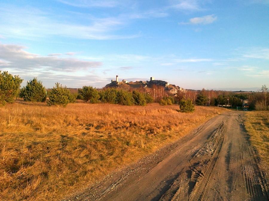 Zamek w Olsztynie.