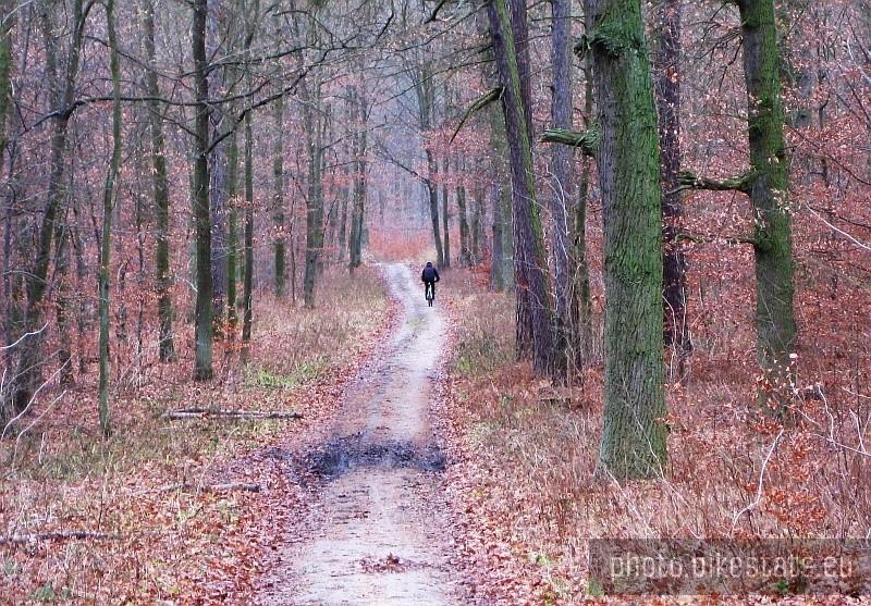 Jeden z niewielu widzianych bikerów w Parku Krajobrazowym Promno