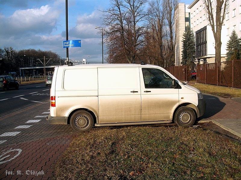 Biała głupota