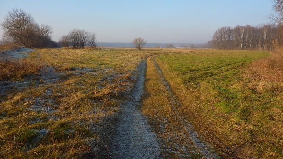 Łąki pod KPNem