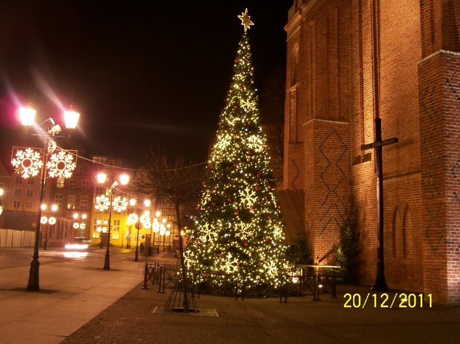ELBLĄSKA CHOINKA 2011
