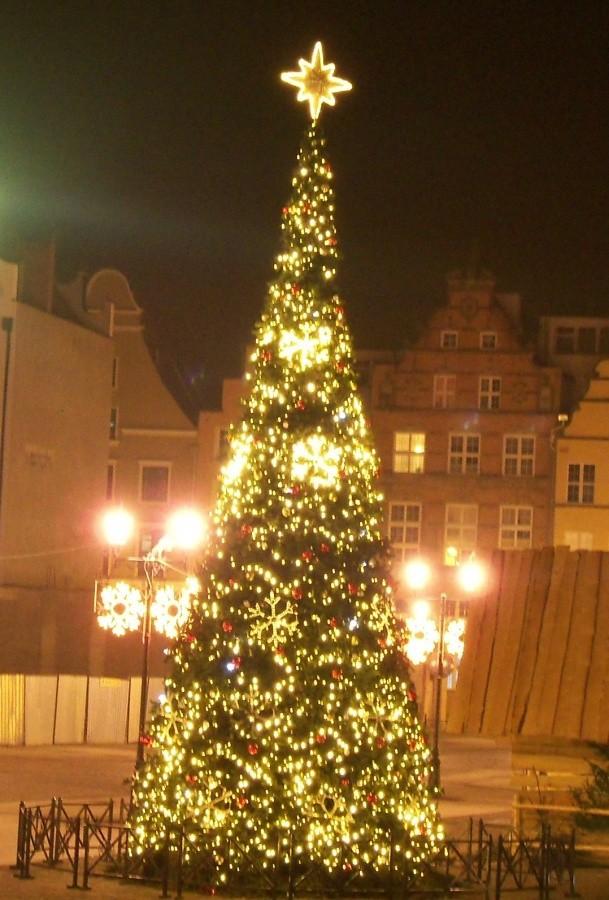 ELBLĄSKA CHOINKA 2011