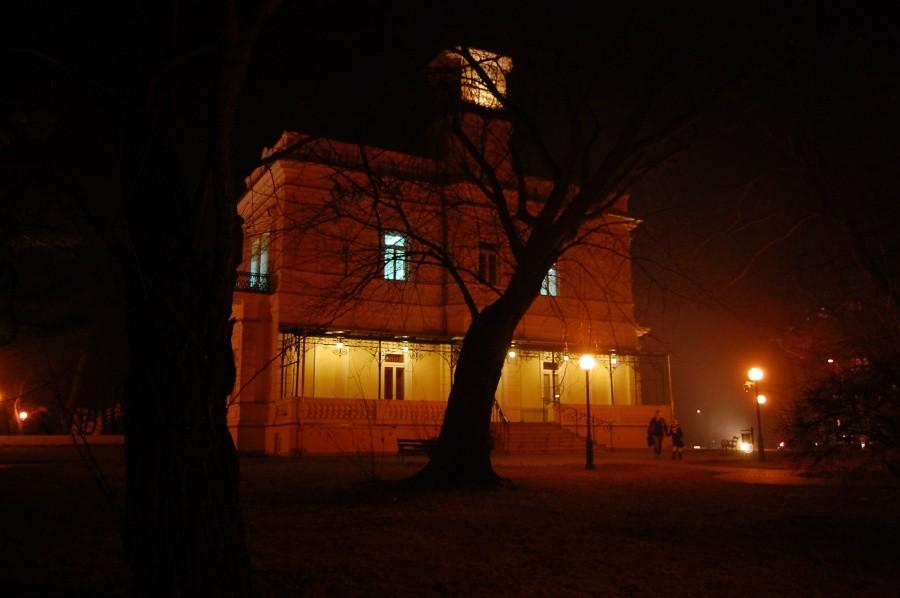 Pałac "Sokoła" ujęcie 3