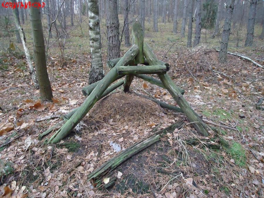 Mrowisko