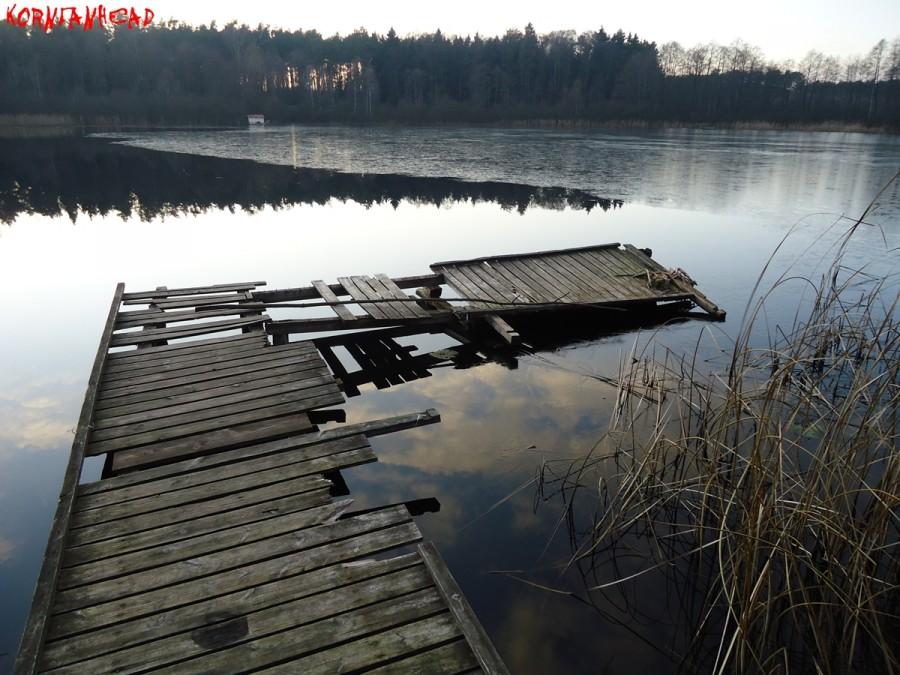 Jezioro w środku lasu przed zimą