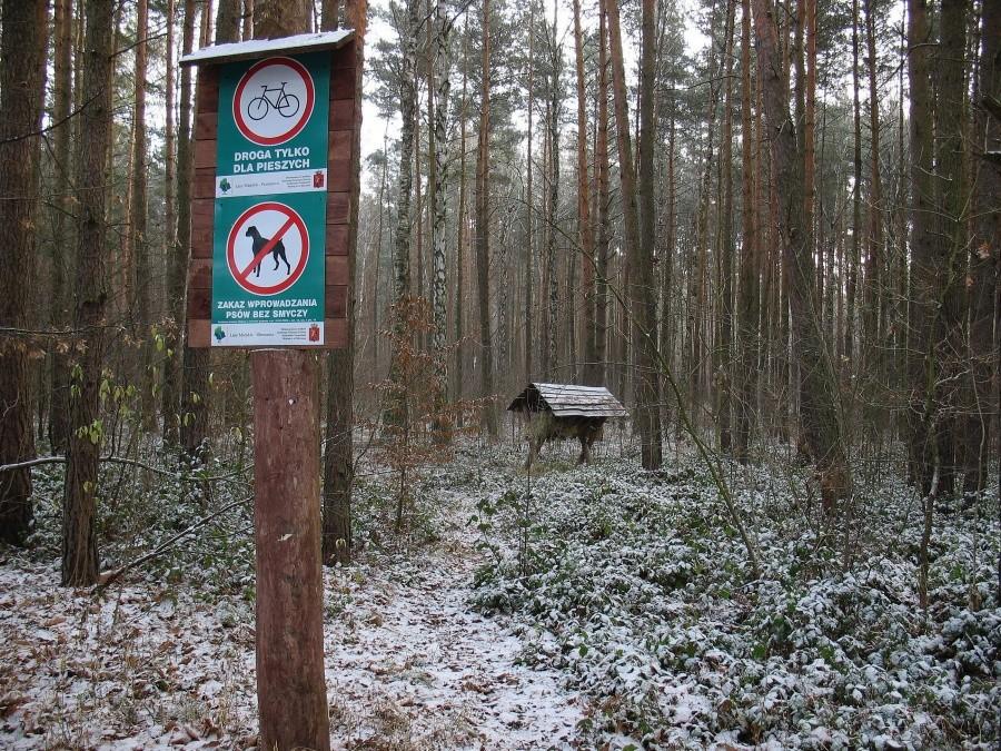 Paśnik dobrze zaopatrzony