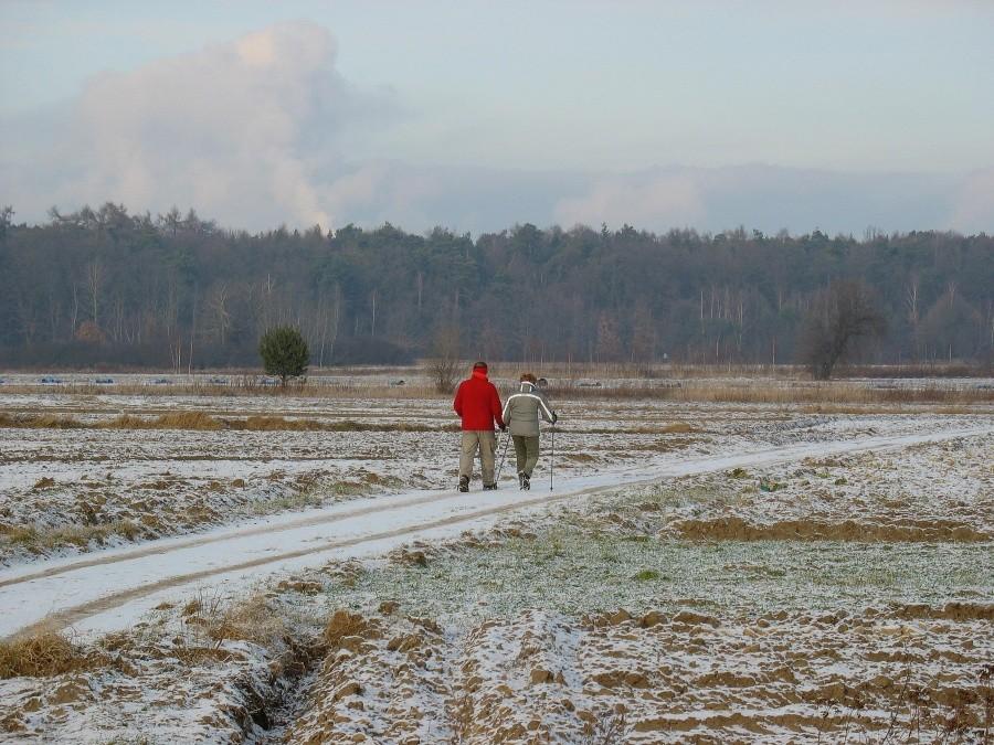 Nordic walking