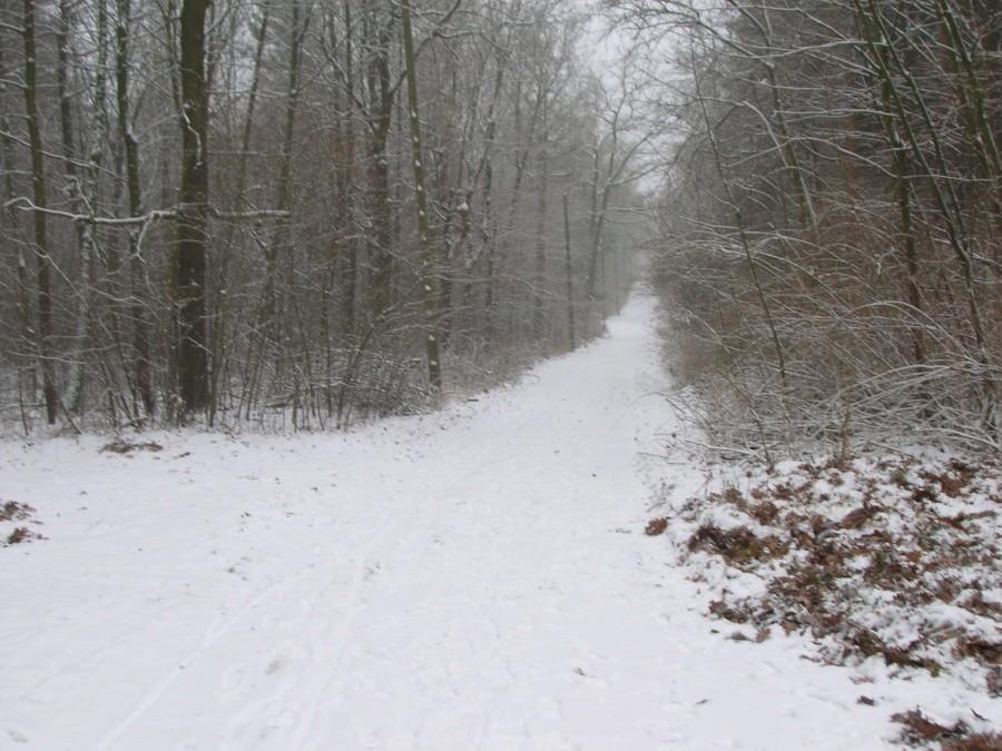 Zaśnieżona i zamglona