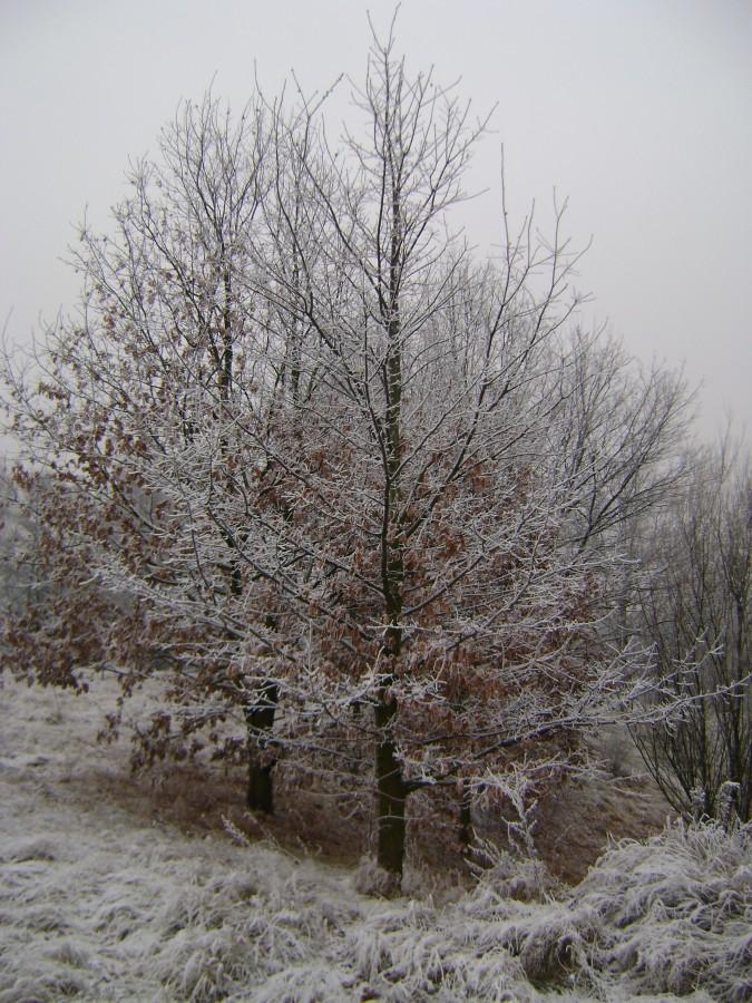 Zimowy klimacik