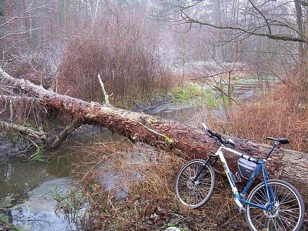 "Mostek" na Kanale Kromnowskim