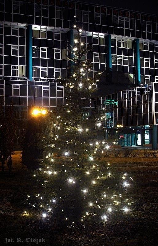 Medyczna choinka