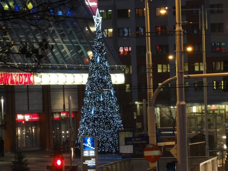 Choinka przed Pasażem