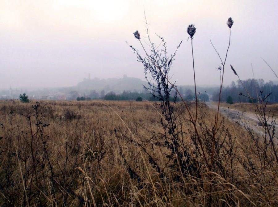 Zamglony Olsztyn