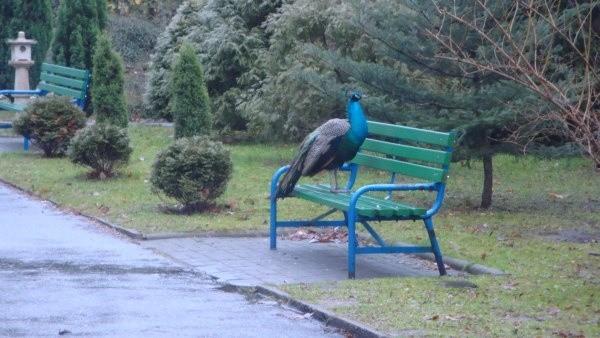 W ZOO pod koniec grudnia.