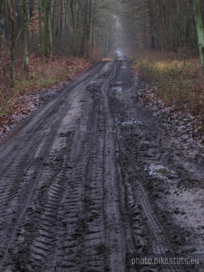 Błotnista droga z Wierzonki do Barcinka.