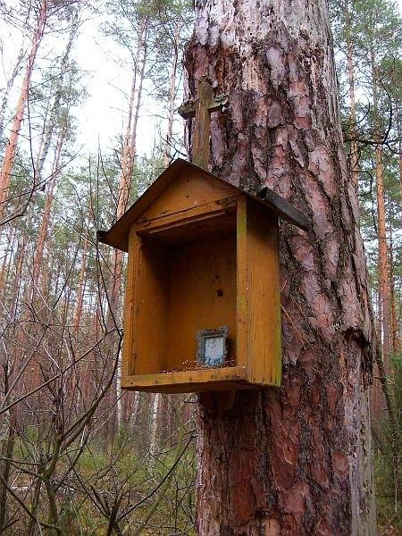 Minikapliczka na starej sośnie