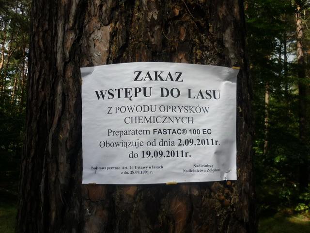I tak wjechałem;)