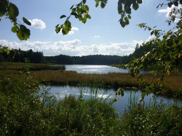 Widok na Jezioro Białe