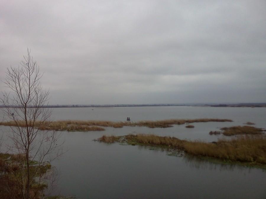 Z wizytą u bobrów:)