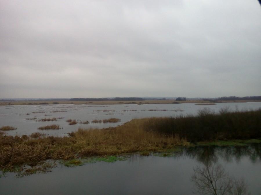 Z wizytą u bobrów