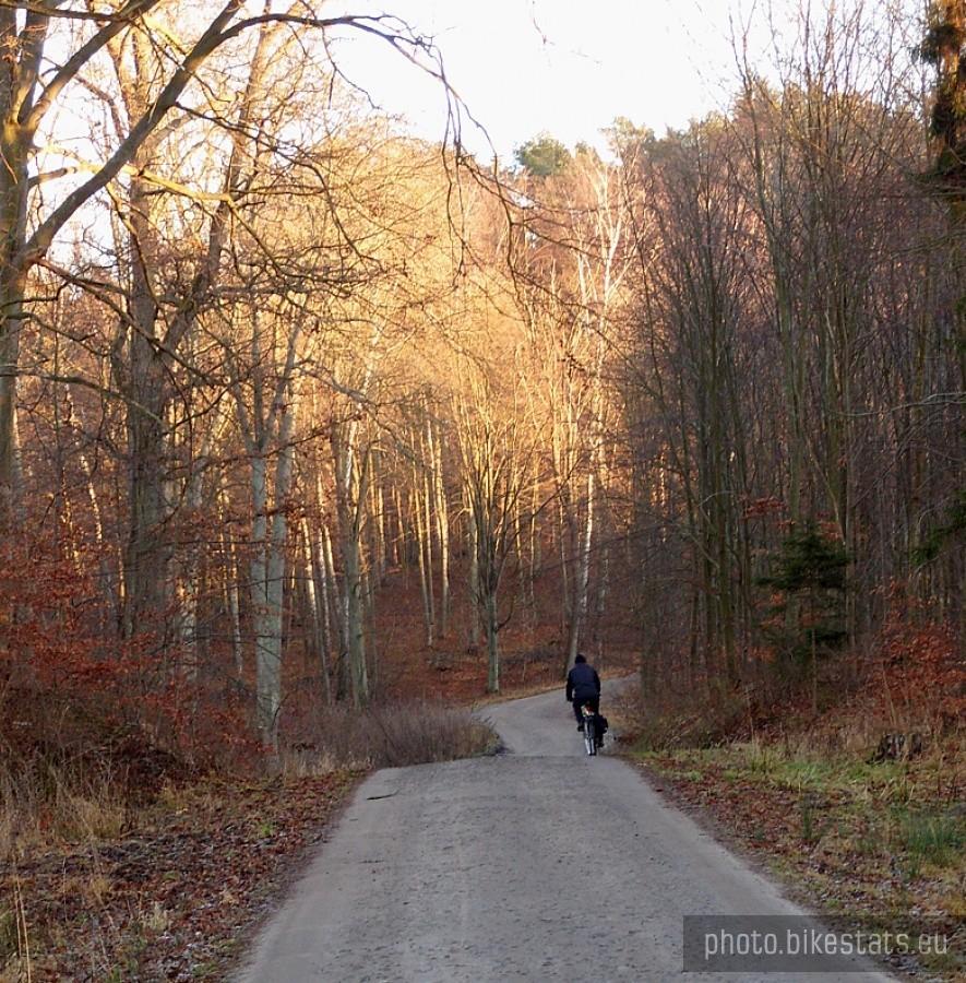 Wracamy do domu…