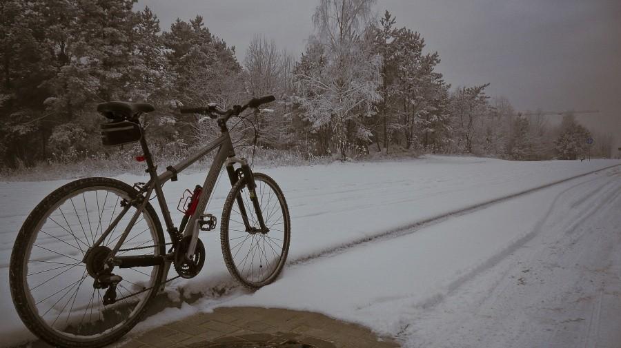 Rower na Sosnowej