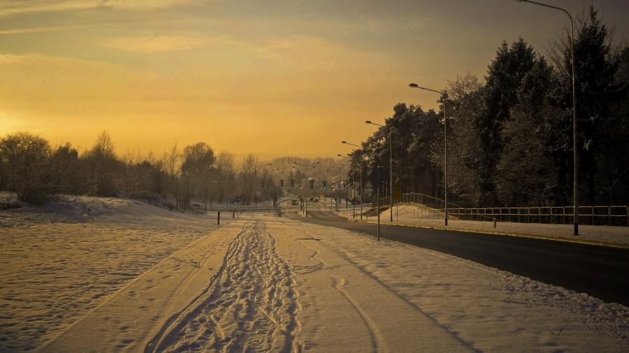 Sosnowa o zachodzie słońca