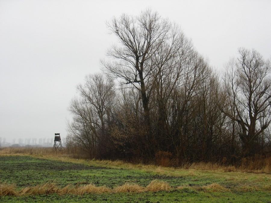 Sylwestrowa ambona pod Pęcicami