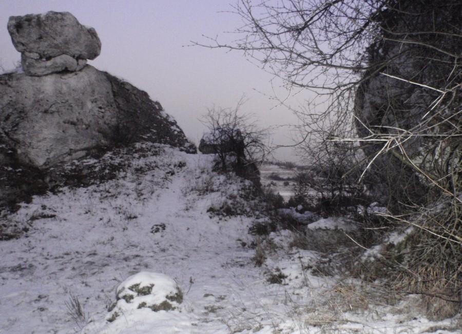 O świcie w Górach Towarnych