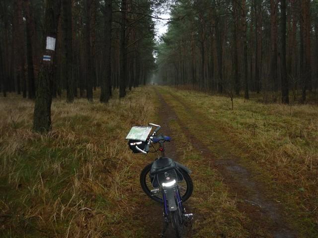 Szlak Brdy na odcinku Las Gdański