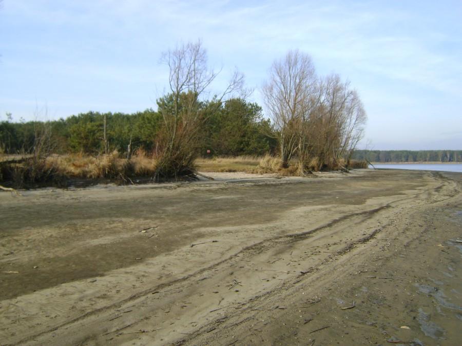Plaża na Bronisławowie
