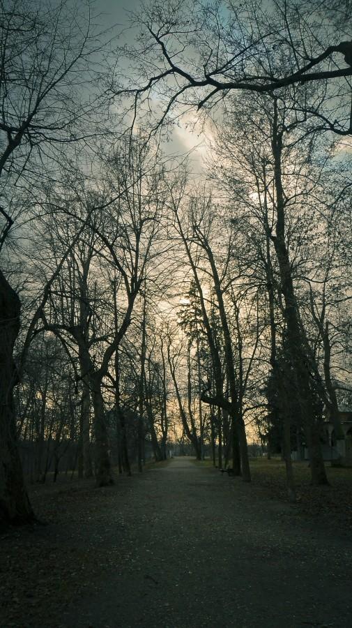 Park w Puławach