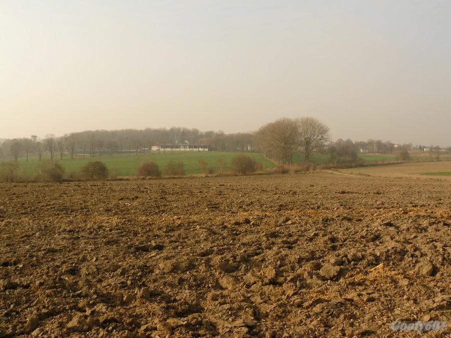 Pola w Wilkowicach