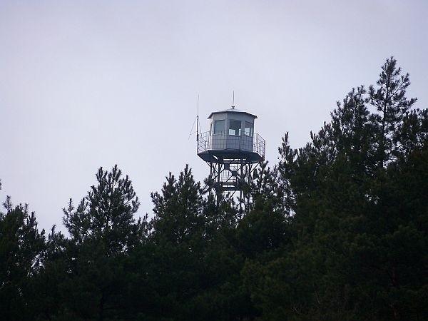 UFO nad drzewami ;)