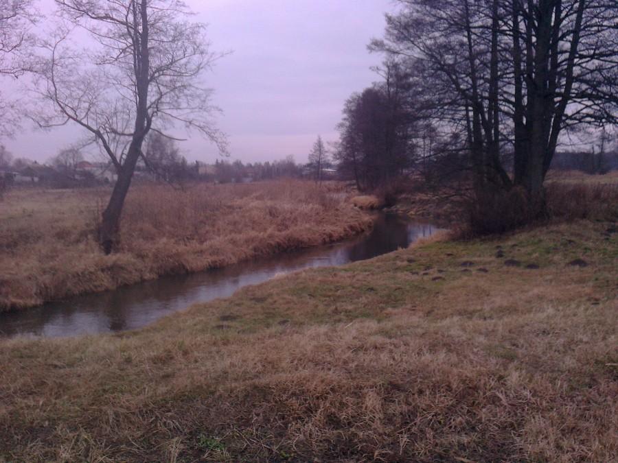 Jeziorka w Gołkowie