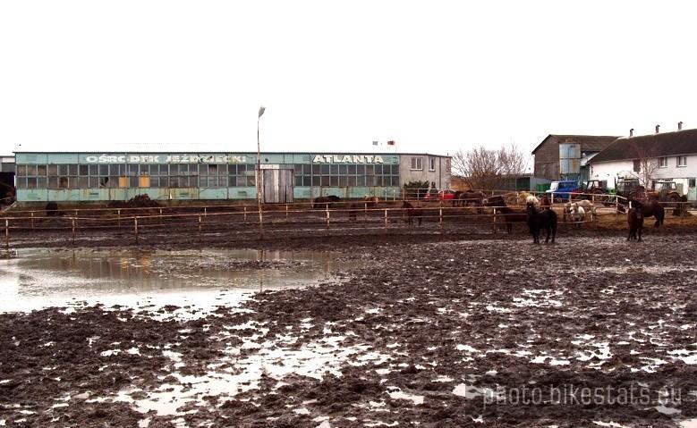 Najgorszy ośrodek jeździecki w naszej okolicy –szkoda mi tych zwierząt- zobaczcie sami… XXI wiek.