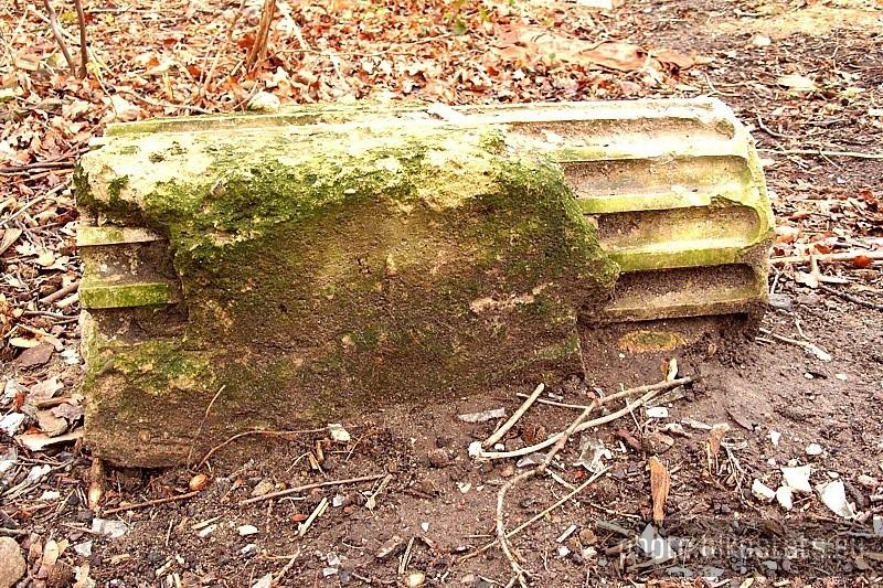 Zniszczone zabytkowe kolumny w przypałacowym parku.