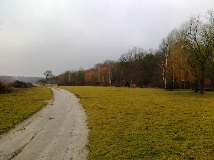 Polana w Powsinie. Ludzi nie ma, pali się tylko jedno ognisko.