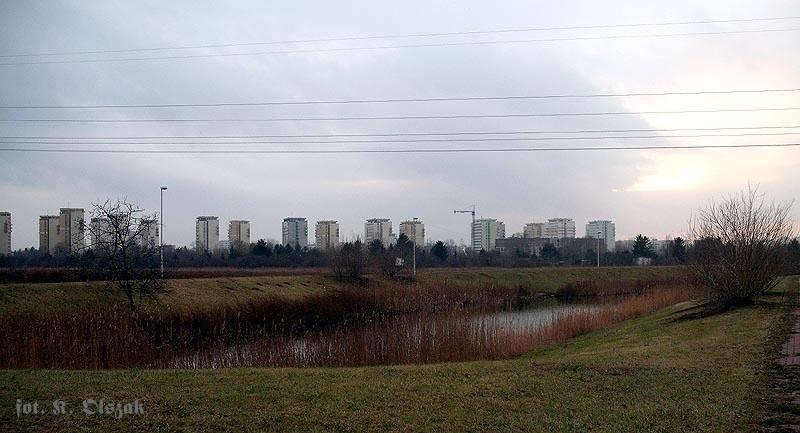 Starorzecza Wisły i Wilanówki