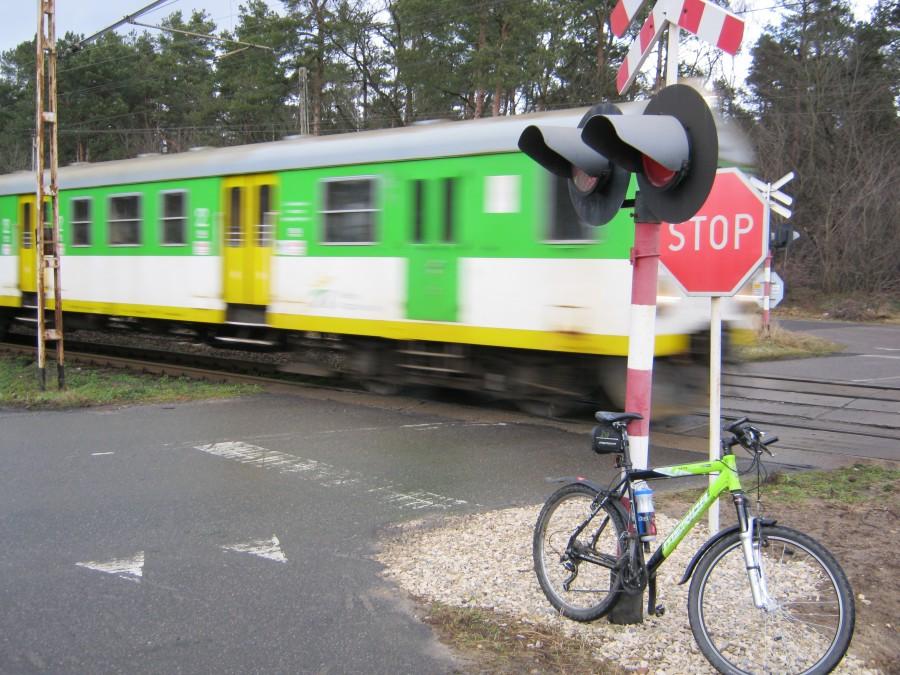 "Zielone" spotkanie